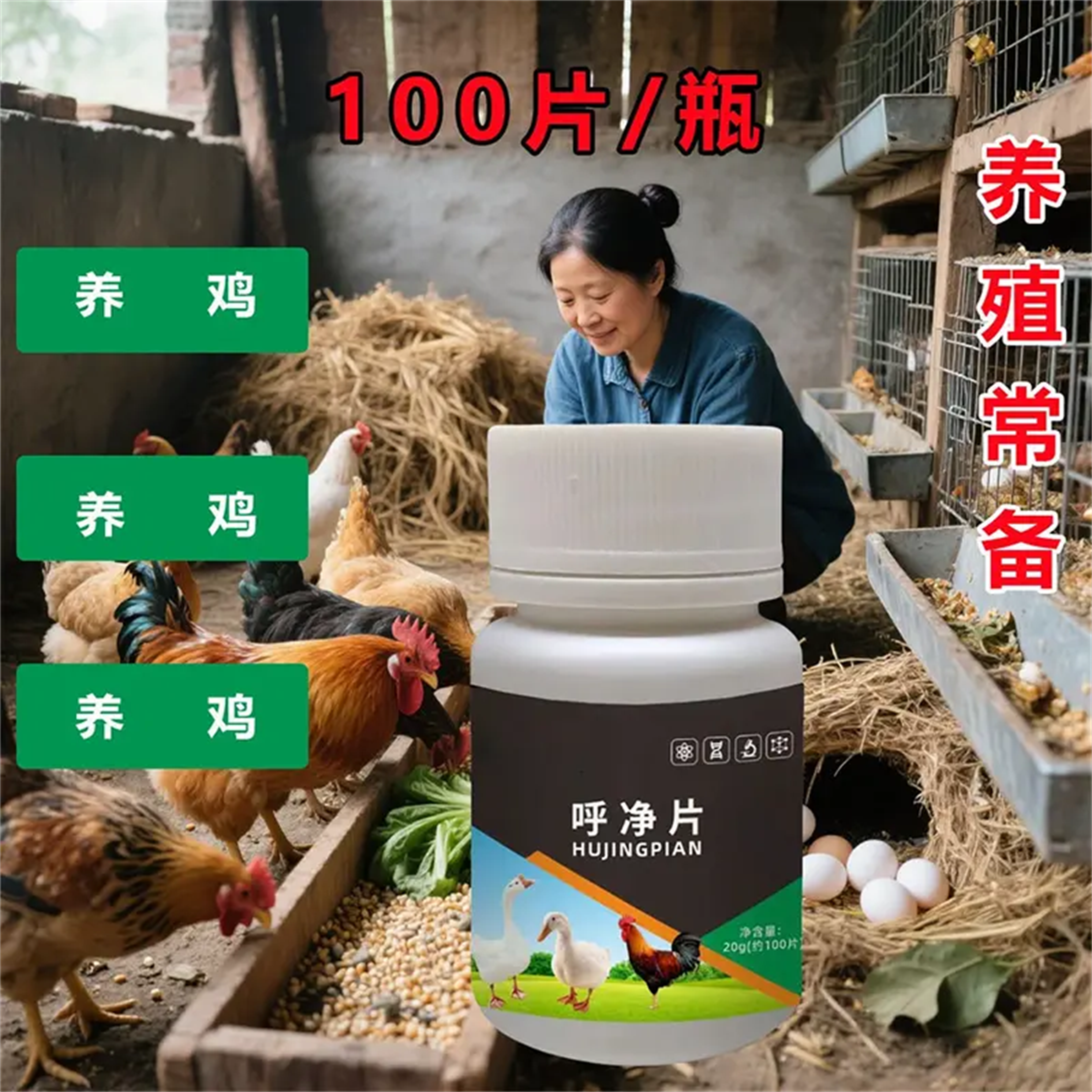 呼净片正品鸡鸭鹅鸽子鹌鹑家禽农村散养家禽养殖