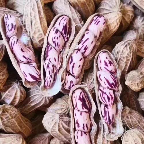 忠信花生云南七彩咸脆花生新货咸香酥脆