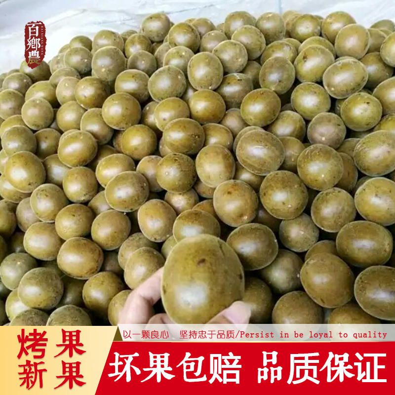 正品罗汉果干果广西桂林特产特级大果泡茶散装中药材非野生旗舰店