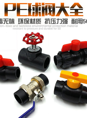 黑色水管PE铜球阀门钢芯球阀pe截止阀塑料闸阀活接头球阀门开关阀