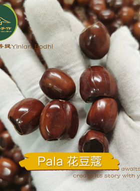 印尼果壳风铃diy花豆蔻手摇铃Pala植物果壳摇铃DIY材料包