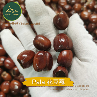 印尼果壳风铃diy花豆蔻手摇铃Pala植物果壳摇铃DIY材料包