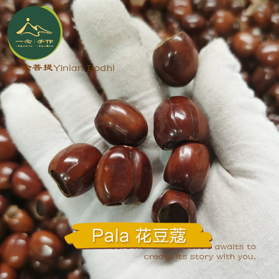 印尼果壳风铃diy花豆蔻手摇铃Pala植物果壳摇铃DIY材料包