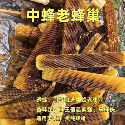 中蜂新款 旧蜜巢带老蜂巢 纯天然诱野蜂巢 土蜂老脾野蜂窝蜂巢素