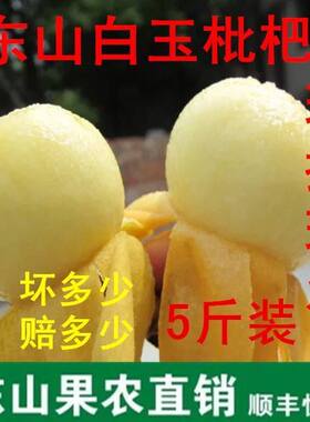 苏州东山白沙东山白玉枇杷孕妇琵琶果72~86颗礼盒装5斤中大混纯甜