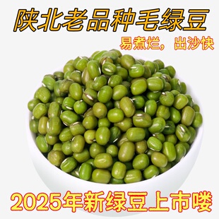 2025年农家绿豆陕西黄土高原小绿豆毛绿豆笨绿豆自家种植陕北特产