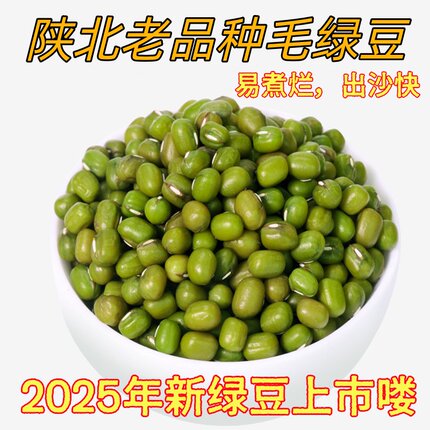 2025年农家绿豆陕西黄土高原小绿豆毛绿豆笨绿豆自家种植陕北特产
