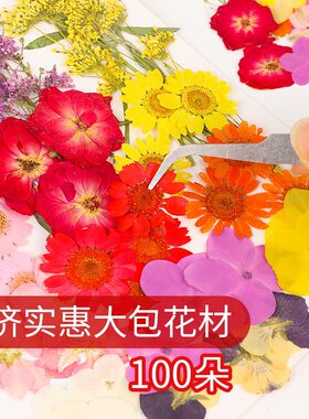 押花混合干花绣球树叶包手工diy滴胶干花材料包真花压花植物标本
