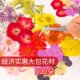 押花混合干花绣球树叶包手工diy滴胶干花材料包真花压花植物标本