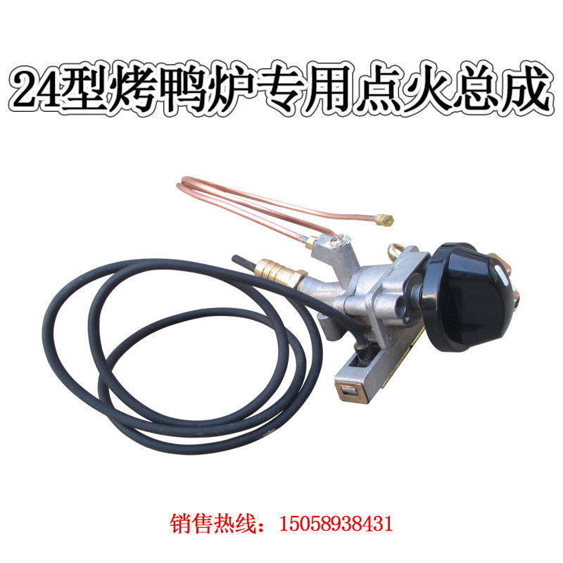 配件点火两用总成原装烤鸭炉图片