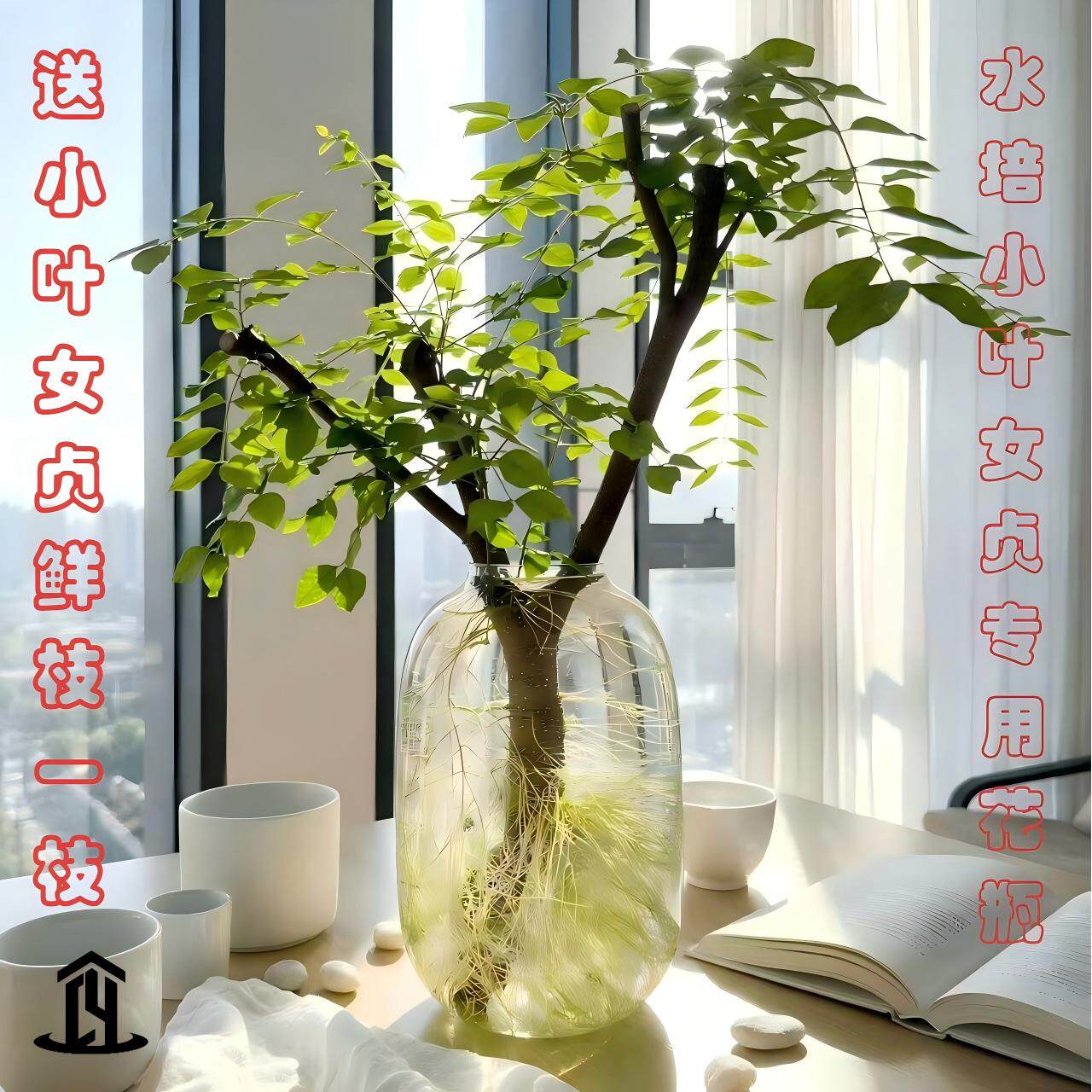 水培大肚玻璃花瓶小叶女贞 雪柳 龙柳 南天竹御用高级感轻奢容器