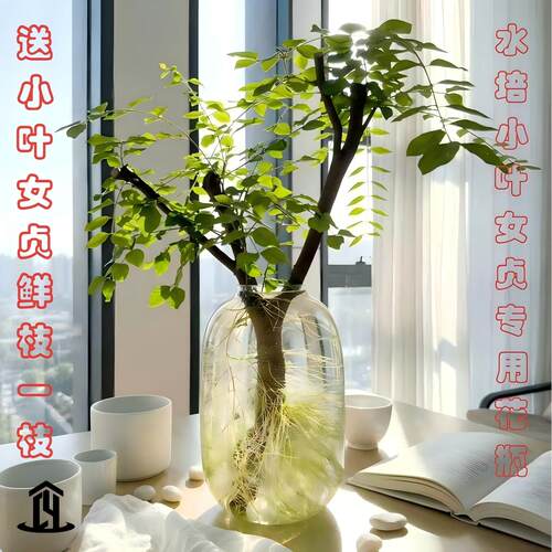 轻奢高级感现代简约大肚花瓶