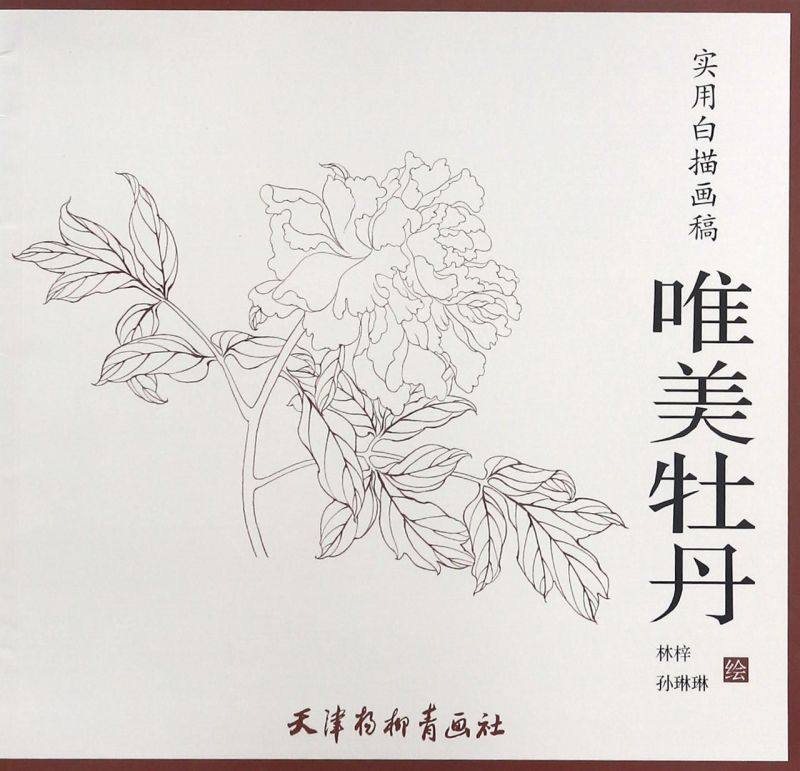 唯美牡丹(实用白描画稿)