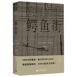 鳄鱼街(精)布鲁诺舒尔茨小说全 20世纪魅力作品之一 描述不同寻常的童年回忆现实与幻想相融合 现当代文学散文随笔 外国小说书