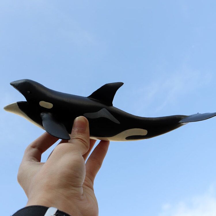 儿童认知仿真海洋生物动物模型科教玩具虎鲸模型玩具静态手办摆件