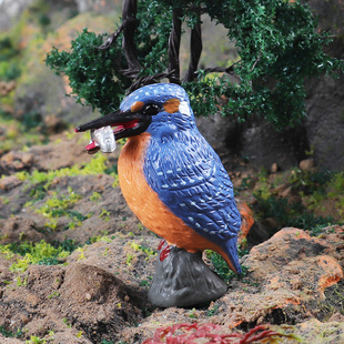 儿童仿真动物鸟类野生模型玩具实心静态雀鸟站立小鸟鹦鹉桌面摆件