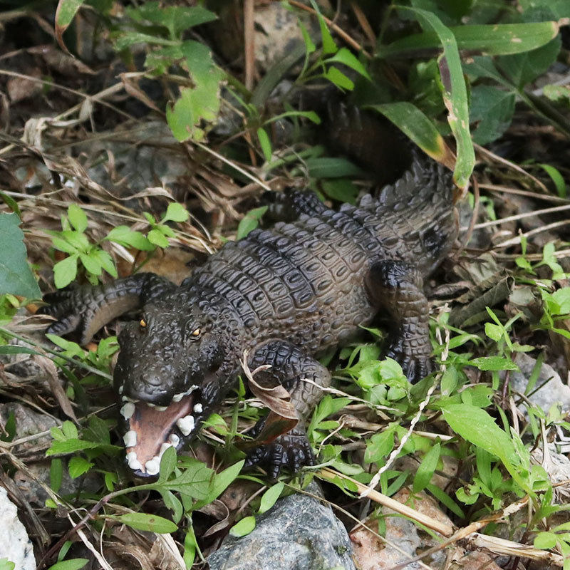 儿童野生动物模型仿真鳄鱼玩具 实心静态模型摆件 鳄鱼扬子鳄,玩具/童车/益智/积木/模型,仿真/动物玩偶,淘宝优惠券,粉丝福利购,淘宝优惠卷