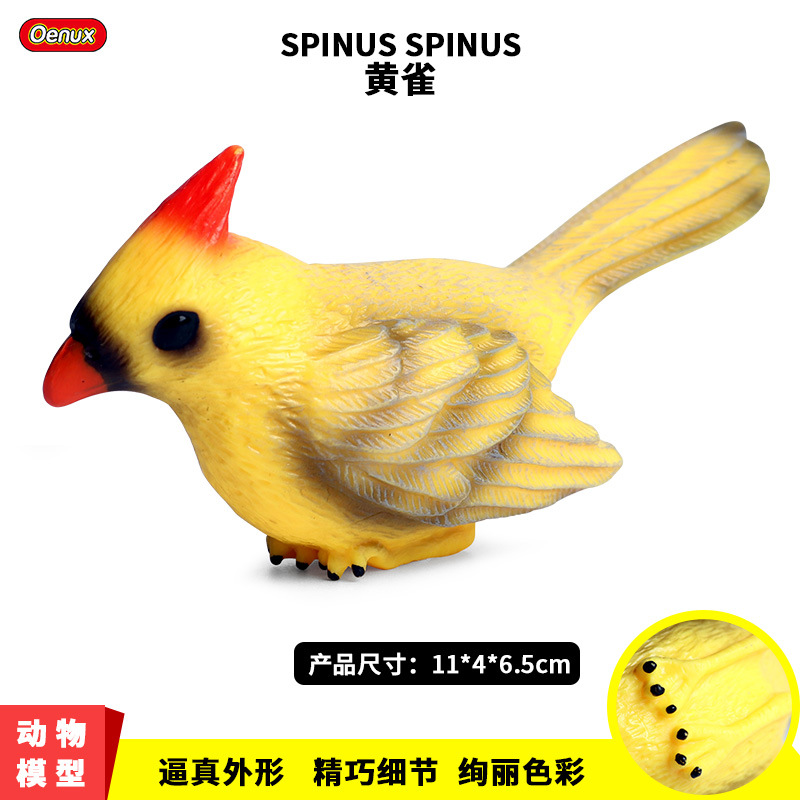 仿真动物实心野生动物模型鸟类金雀芦花黄雀儿童玩具摆件手办礼物