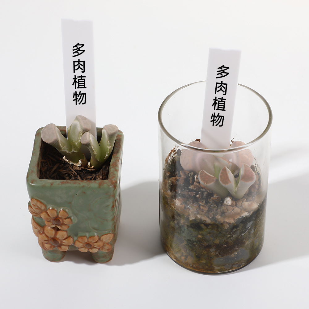 字型花卉标签园艺防水多肉植物标签加厚塑料花盆插地记号标识牌