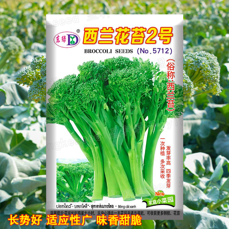 西兰苔种子甜杆西兰花苔种籽多次采摘农家菜园四季发芽易种蔬菜子图片