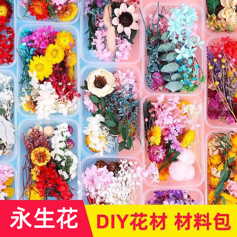 天然干花永生花DIY材料包现场暖场手工活动团扇相框玻璃罩礼盒