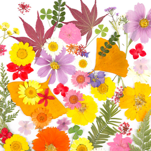 干花DIY材料包永生花压花