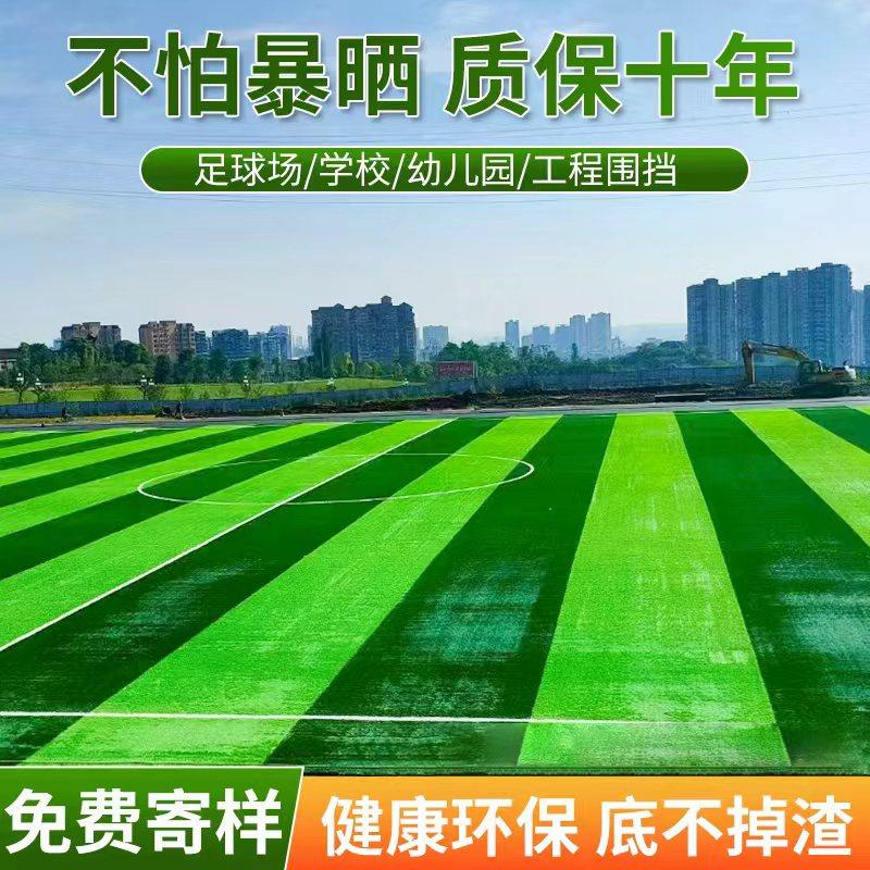 足球场草坪幼儿园草皮楼顶阳台图片