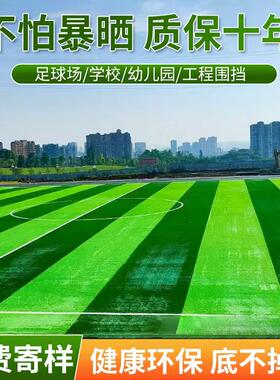 足球场草坪幼儿园草皮楼顶阳台