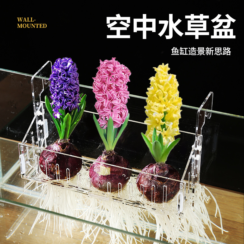 鱼缸风信子水培定植篮水竹固定篮可升降调高度造景装饰乌龟缸挂篮