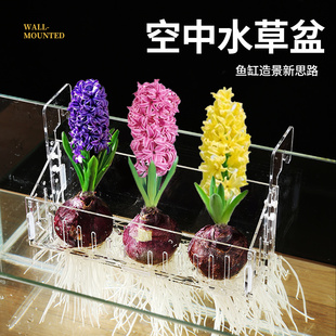 鱼缸风信子水培定植篮水竹固定篮可升降调高度造景装饰乌龟缸挂篮