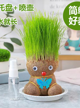 长草娃娃草头娃娃幼儿园植物儿童