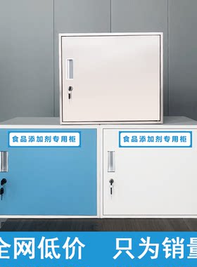 食品添加剂专用柜带锁储物柜