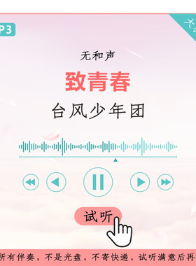 台风少年团 致青春 原版伴奏 高品质 无和声