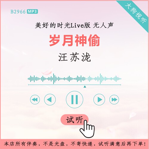 B2966汪苏泷 岁月神偷 美好的时光Live版伴奏 高品质 无人声
