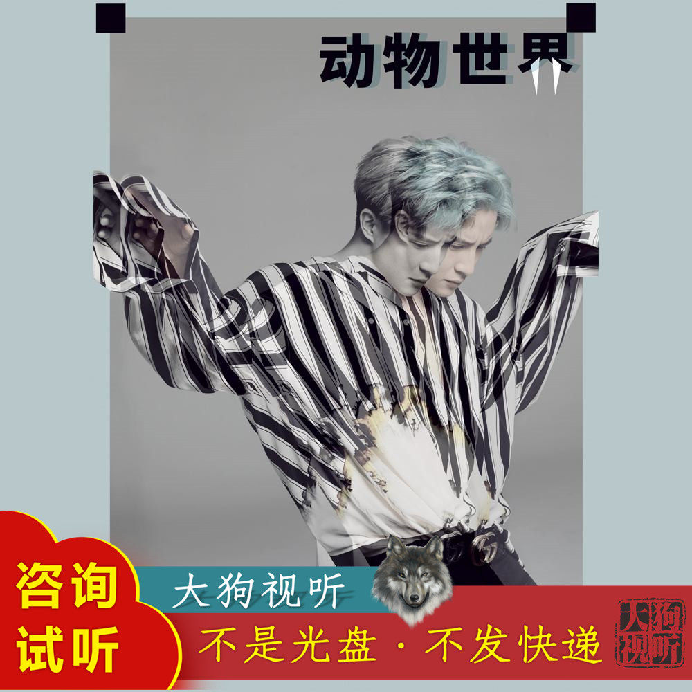 薛之谦 动物世界  原版伴奏  高品质 无和声 无人声