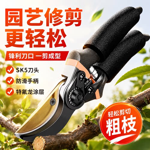 德国树枝剪粗枝剪修剪果树刀修枝大力剪省力园林剪树枝专用强力剪