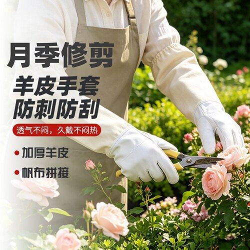 加厚月季专用羊皮防刺手套园艺摘花椒剥板栗防扎防刮帆布拼接防护