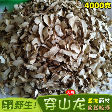 东北辽宁野生中草药材穿山龙片穿地龙穿龙骨串地龙泡酒煎水4000g