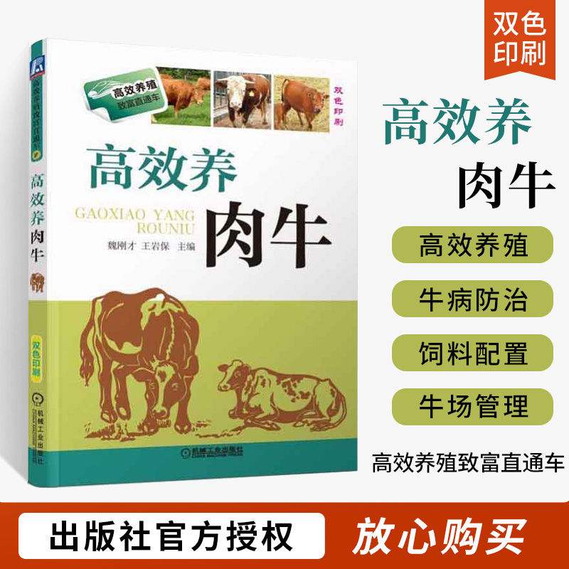 高效养肉牛 养牛书籍大全牛病治疗全书兽医牛饲料配方肉牛养殖技术书繁殖诊断及母牛饲养管理手册 繁殖病害防治 养牛肉场指南入门