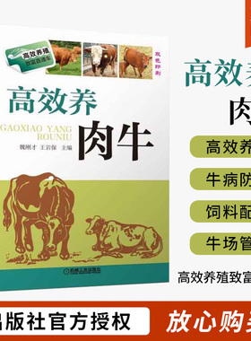高效养肉牛 养牛书籍大全牛病治疗全书兽医牛饲料配方肉牛养殖技术书繁殖诊断及母牛饲养管理手册 繁殖病害防治 养牛肉场指南入门