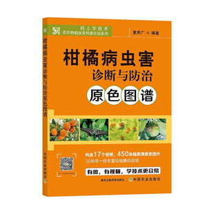 柑橘种植技术病虫害防治农业种植技术大全书果树病虫害图谱水果种植书诊治与防治管理书籍 柑橘病虫害诊断与防治原色图谱