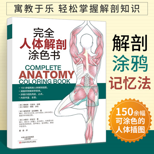 涂色大人素描基础教程绘画