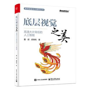 董 胡锦帆 通用智能与大模型丛书 底层视觉之美 多模态大模型 人工智能 底层视觉技术书籍 图像视频算法设计教程 高清大片背后