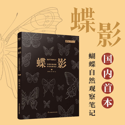 蝶影  中国珍稀蝴蝶手绘观察笔记张晖宏 蝴蝶图鉴32种5科珍稀蝴蝶96幅手绘图片近100幅蝴蝶生态还原1000多种色彩的斑斓呈现