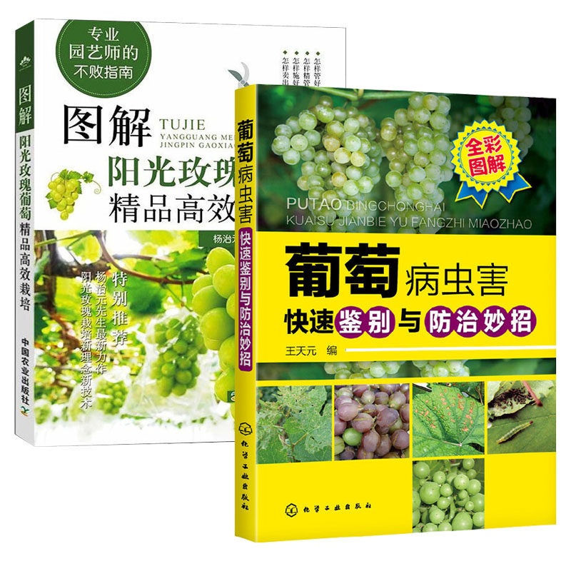 图解阳光玫瑰葡萄**高效栽培+葡萄病虫害快速鉴别与防治妙招 全2册 种植技术大全书籍农第二版葡萄种植栽培技术书果树种植大全属于什么档次？