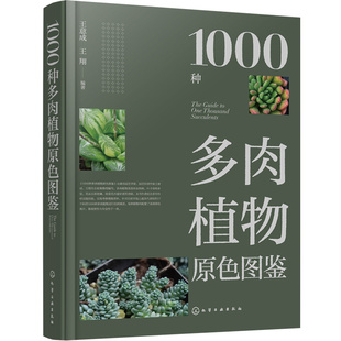 1000种多肉植物原色图鉴 多肉仙人掌植物图鉴 多肉图谱 多肉种植培育书籍 多肉植物爱好者休闲参考书 科研管理引种工作者专业书
