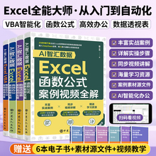 2025新书excel函数与公式应用大全计算机应用基础教程书籍excel入门到精通函数表格制作公式大全自学办公软件财务数据处理与分析