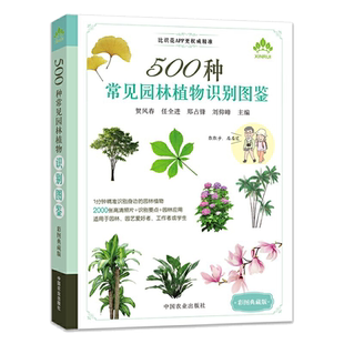 正版 500种常见园林植物识别图鉴彩图典藏版 景观园林植物图鉴常见园林树木识别植物分类与应用花草树木鉴别鉴赏方法园林绿化书籍