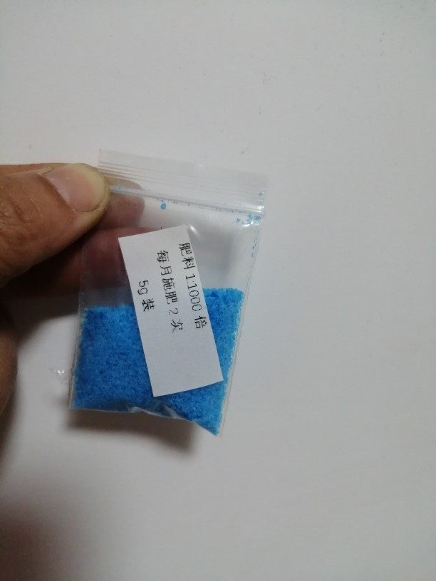 空气凤梨肥料5g    1:1000高浓度无土懒人盆栽,农用物资,其他肥料,淘宝优惠券,粉丝福利购,淘宝优惠卷