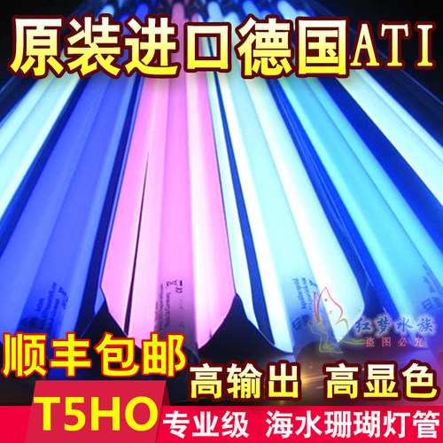 德国ATI T5HO海水缸灯管蓝管斐济紫蓝白54W白管荧光紫24W39W80W